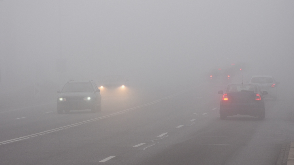 Fog advisory in effect for parts of the region, showers and thunderstorms expected