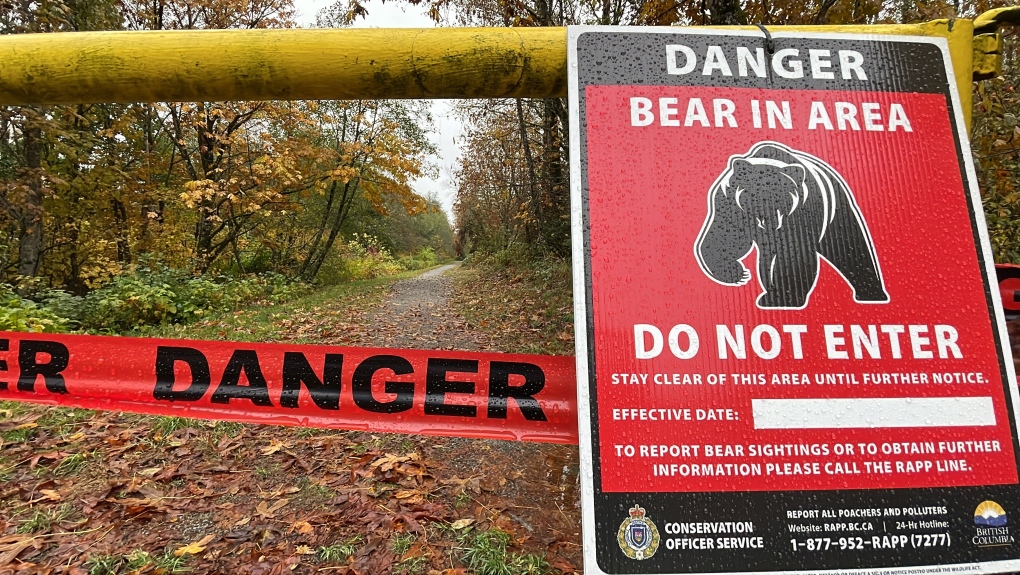 Bears that attacked two women in Squamish, B.C., won't be captured