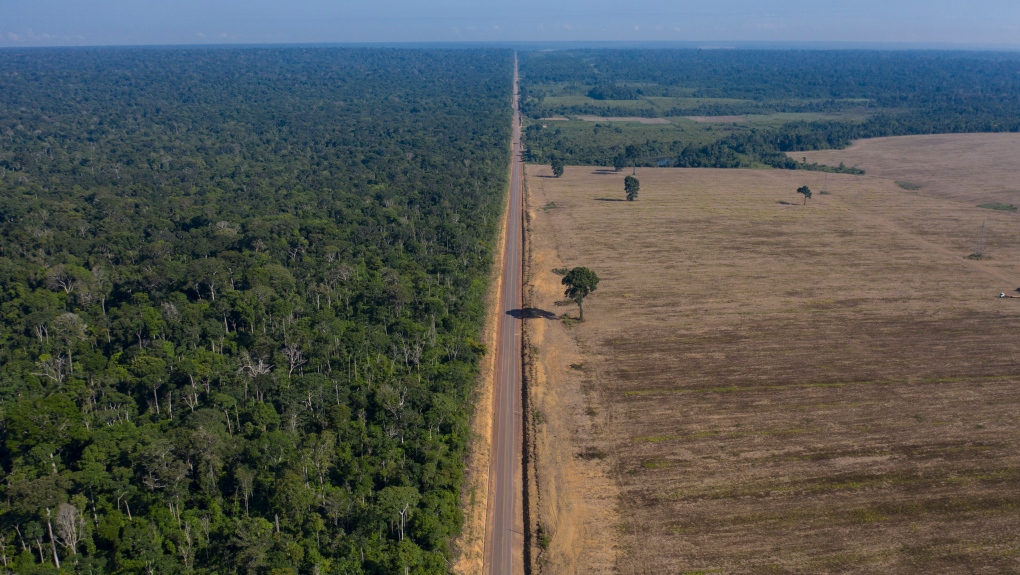 Highway BR-163 stretches between the Tapajos National Forest, left, and a soy field in Belterra, Para state, Brazil, on Nov. 25, 2019. The Amazon region has lost 10% of its native vegetation, mostly tropical rainforest, in almost four decades, an area roughly the size of Texas, a new report released Dec. 2, 2022, says. (AP Photo/Leo Correa, File)