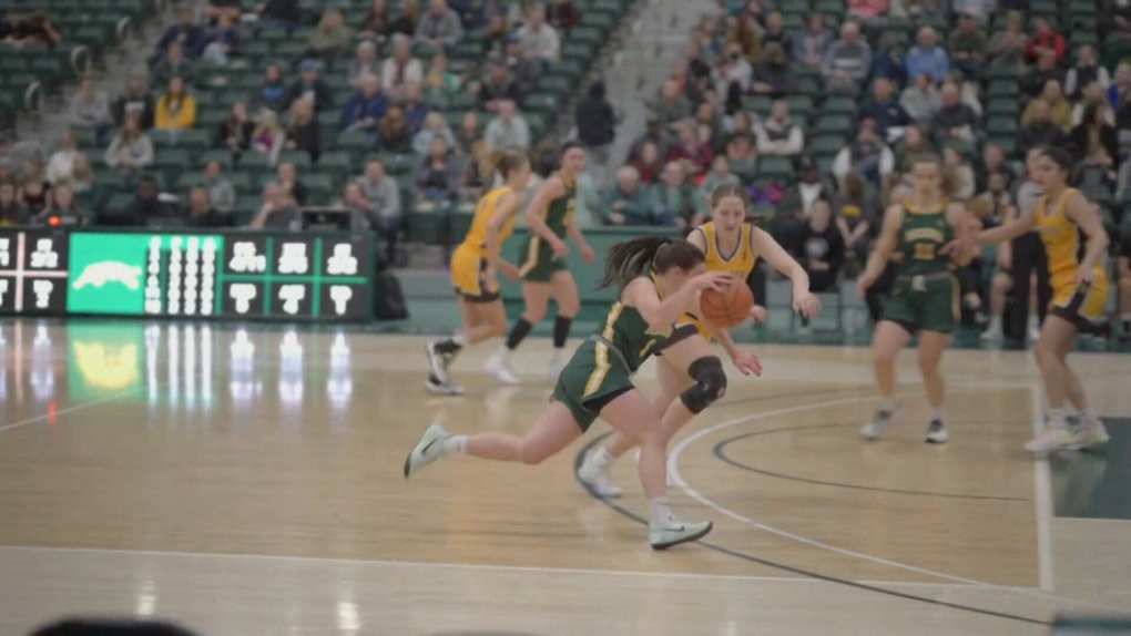 Playoff expectations are high for 2nd seeded U of R Cougars women's basketball team