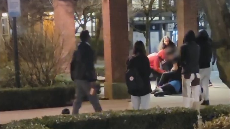 Video shows 'violent swarming' of 44-year-old man in downtown Vancouver park
