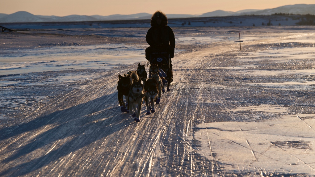 Iditarod berakhir saat musher terakhir melintasi garis finis
