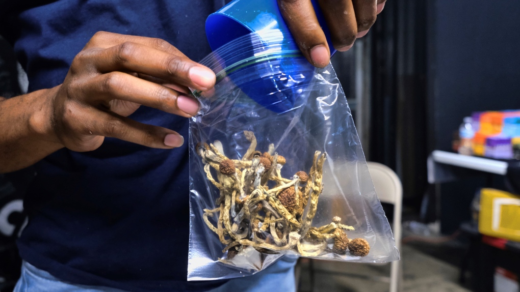 A vendor bags psilocybin mushrooms at a pop-up cannabis market in Los Angeles on May 24, 2019. (AP Photo/Richard Vogel, File)