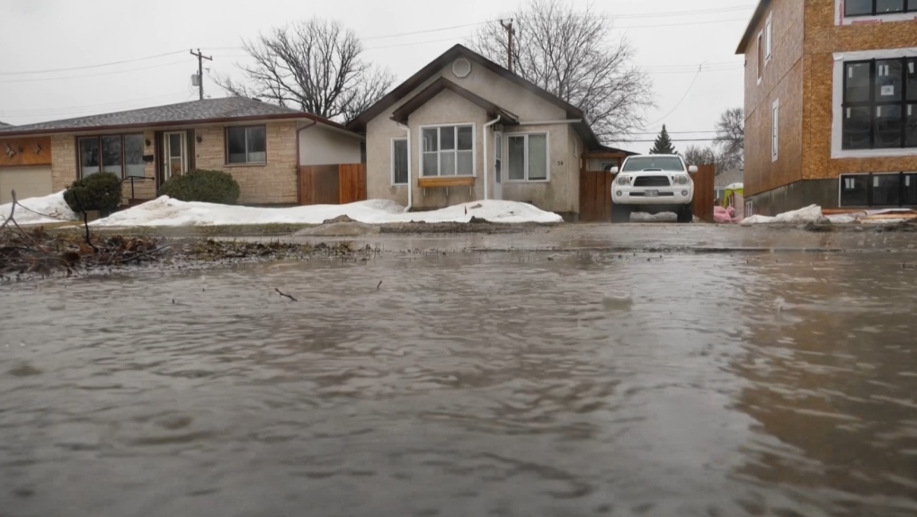 'Definitely a concern': Winnipeggers battle overland flooding amid downpour