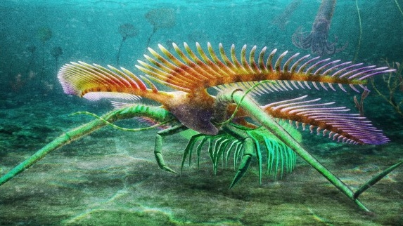 Fosil antropoda ditemukan di Ontario