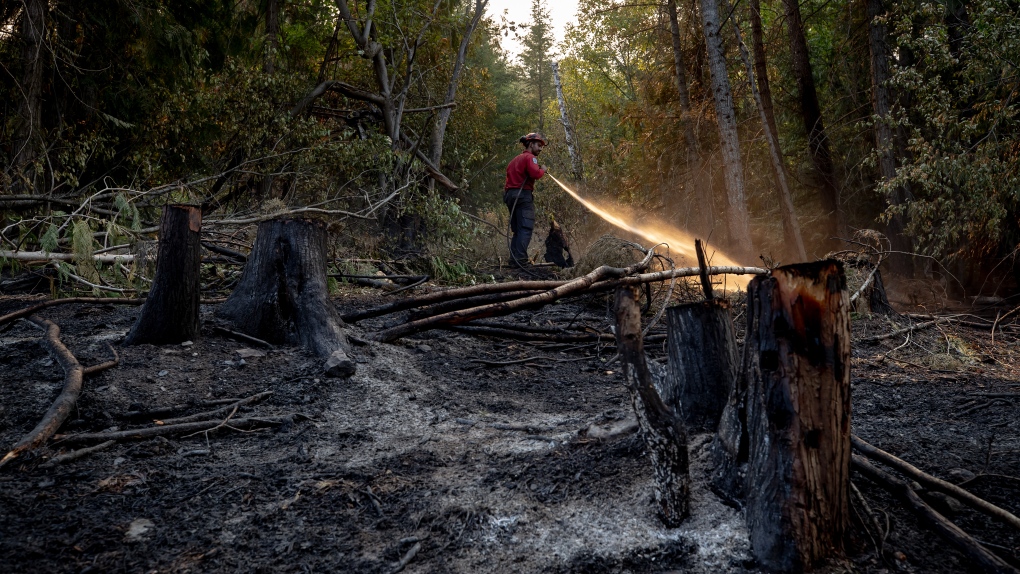 Kebakaran hutan BC dapat diatasi dengan pengelolaan Pribumi
