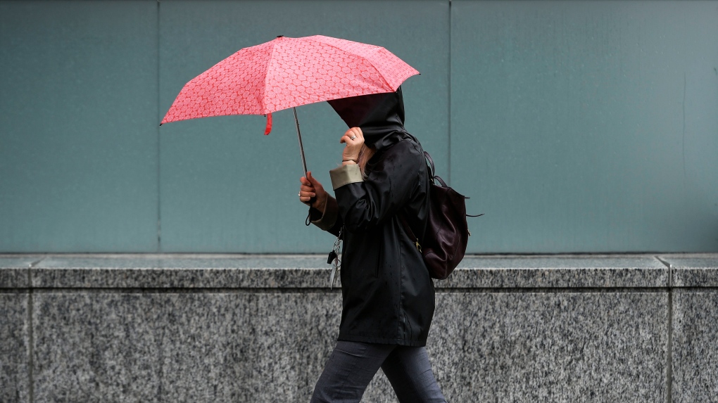 Here's when Ottawa could see 15-25 mm of rain, 'significant' snow this week