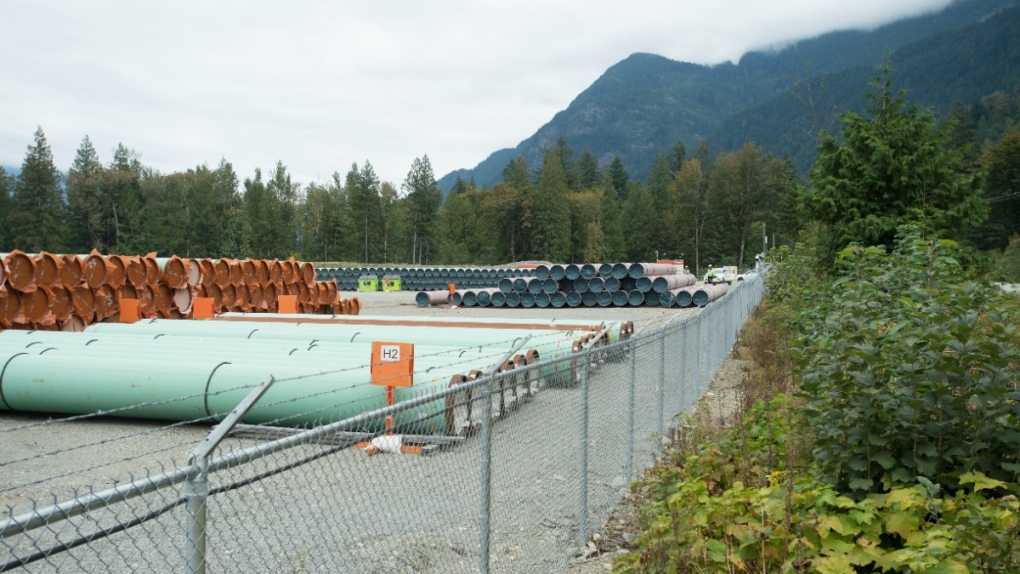 Pipes for the Trans Mountain pipeline project are seen at a storage facility near Hope, B.C., on Sept. 1, 2020. (Jonathan Hayward / THE CANADIAN PRESS)