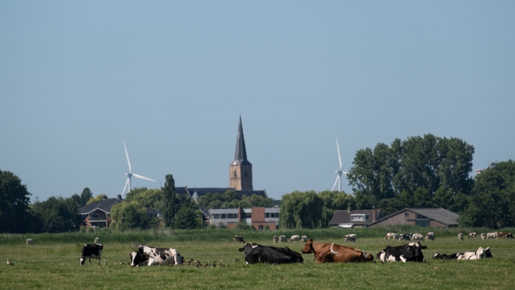 Nederlandse boeren verzetten zich tegen vermindering vervuiling