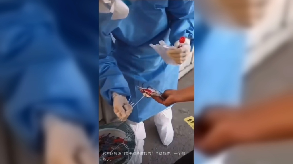 Health workers in Xiamen swab crabs for COVID-19. (Weibo/CNN)