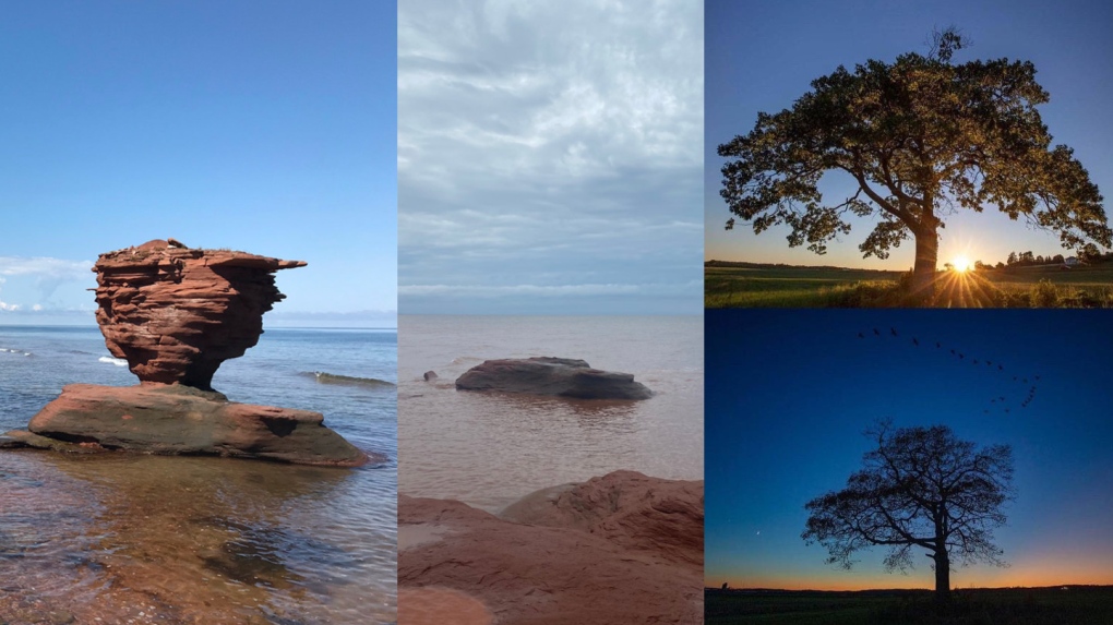 Iconic Teacup Rock, beloved 300-year-old N.S. tree among natural wonders lost to Fiona