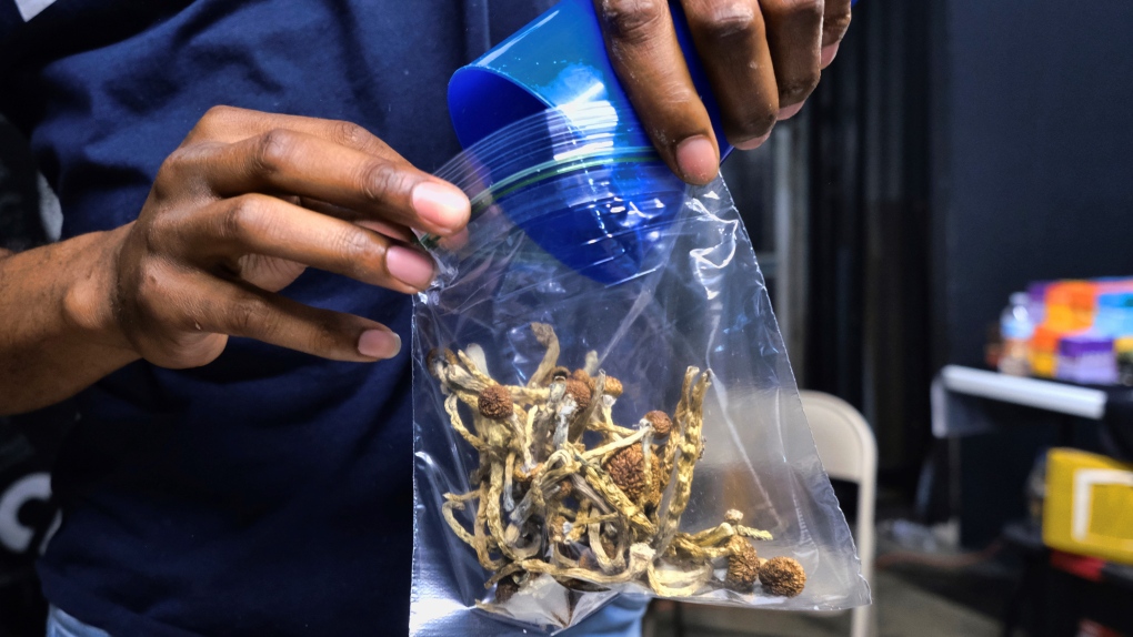 In this May 24, 2019, file photo a vendor bags psilocybin mushrooms at a pop-up cannabis market in Los Angeles. (AP Photo/Richard Vogel, File)&nbsp;