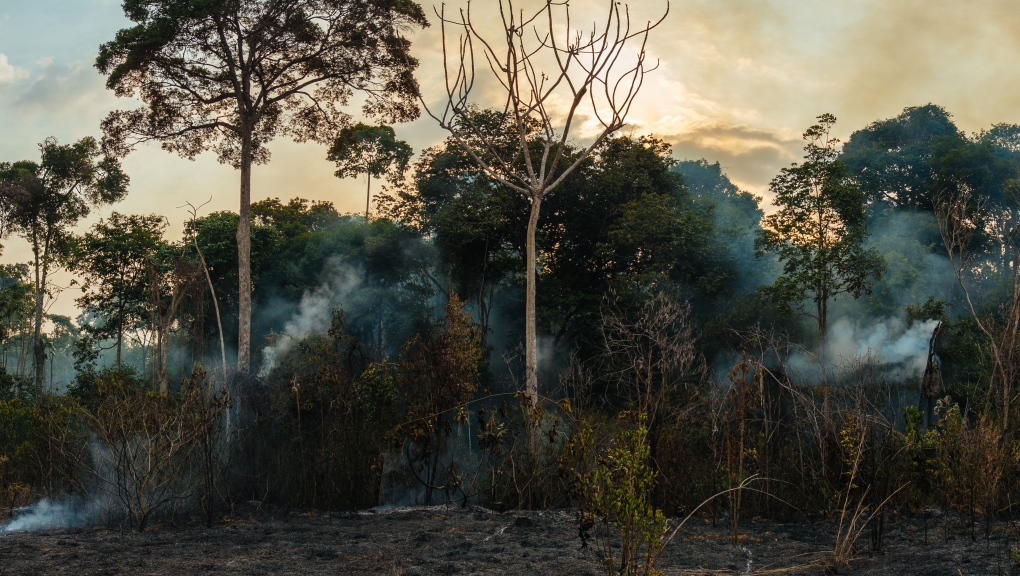 Photo taken in 2015 of a burning forest in Belterra, in the Brazilian Amazon. While the flames cannot be seen, the smoke coming out of the forest is clear. (Adam Ronan/Rede Amazônia Sustentável)

