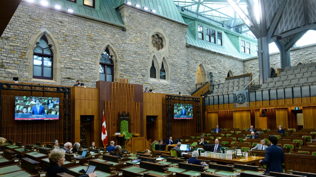 Liberals unveil plan to make hybrid House of Commons sittings permanent