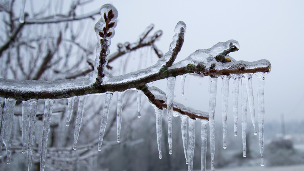 Eastern Ontario Weather Snowfall Winter Storm And Freezing Rain Warnings In Effect Ctv News
