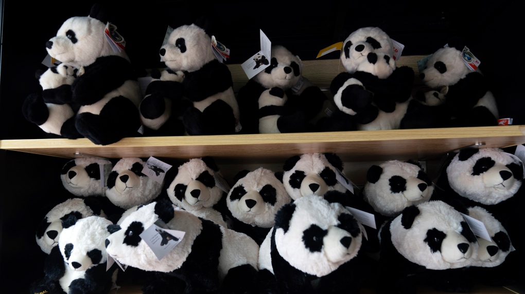 The National Zoo's pandas to return to China, may signal a wider Chinese  pullback