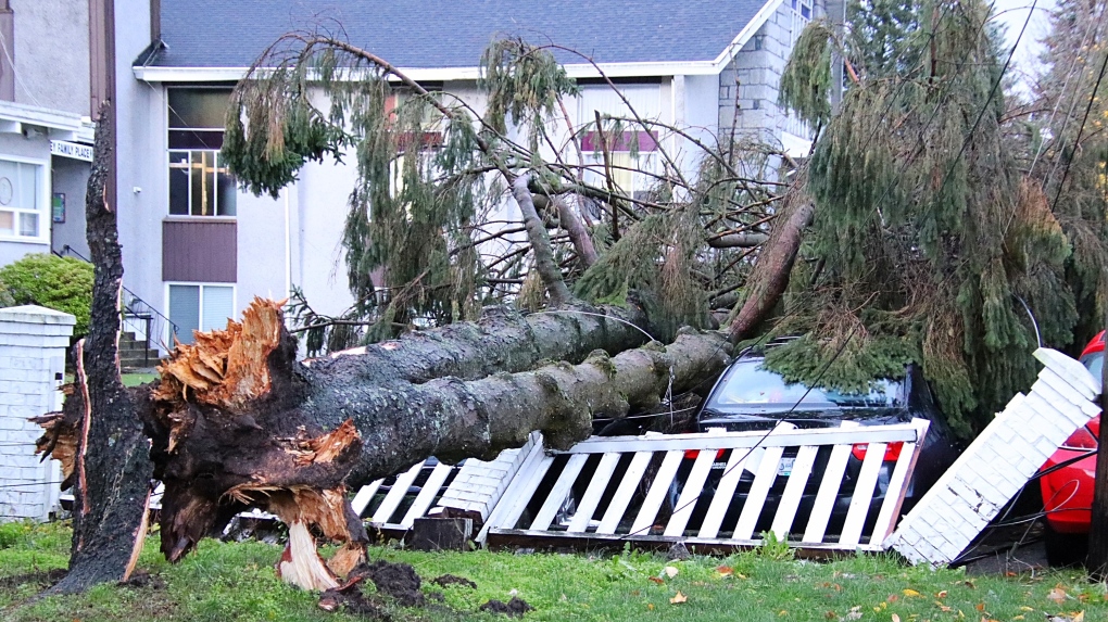 B.C. storm knocks down trees, leaves more than 200K without power overnight