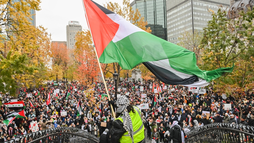 A man waves a Palestinian flag during a Pro-Palestine rally in Montreal, Sunday, Nov. 12, 2023. THE CANADIAN PRESS/Graham Hughes