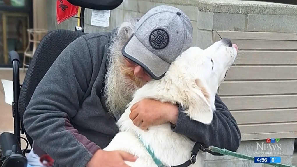 How dozens of dogs helped a Victoria man overcome adversity and bring a community together