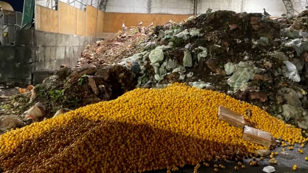 Piles of oranges at North Vancouver dump draw food waste concerns