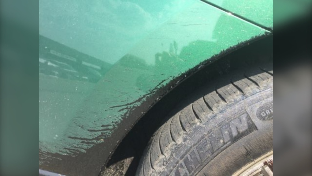 Sask. driver's vehicle covered in tar from unmarked highway construction