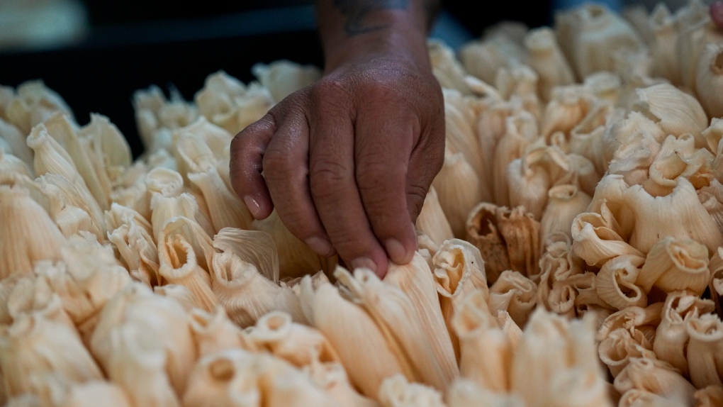 A worker classifies corn husks to wrap tamales for the incoming 'Dia de la Candelaria' or Candlemas at the Flor de Lis factory in Mexico City, Thursday, Jan. 26, 2023. The word tamal comes from the Nahuatl word 'tamalli,' which means wrapped. (AP Photo/Fernando Llano)