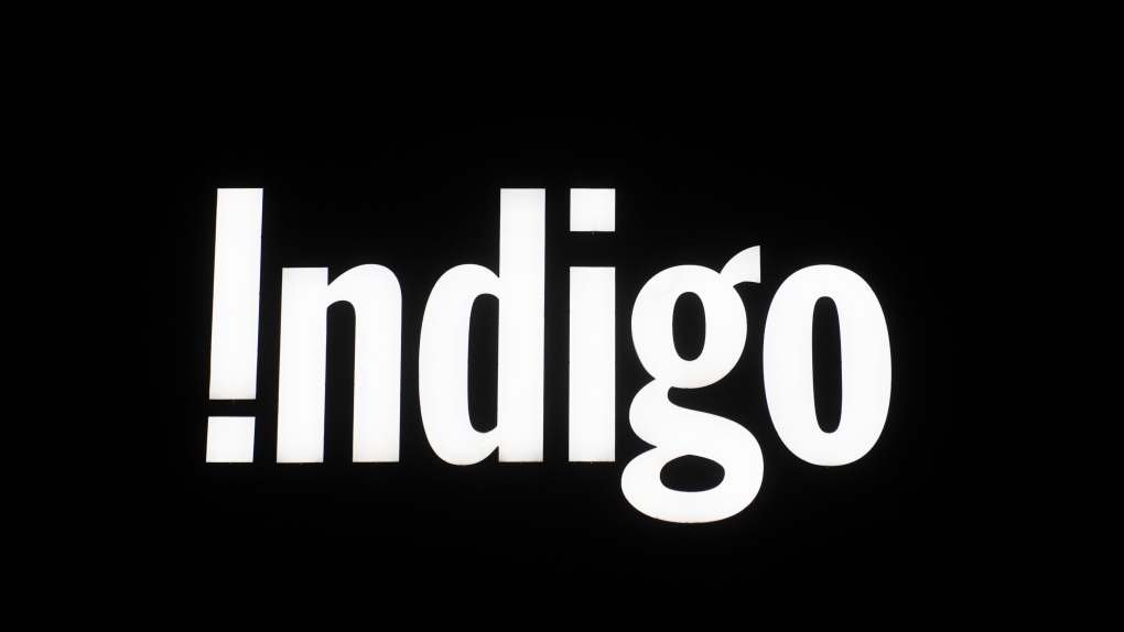 Indigo creates temporary website for browsing after cybersecurity incident
