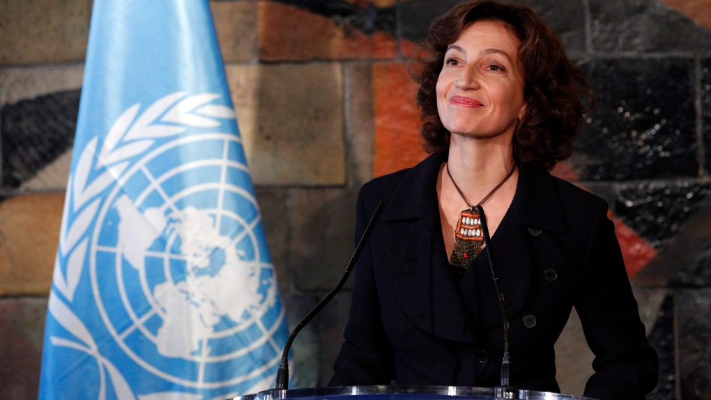 UNESCO chief urges tougher regulation of social media
