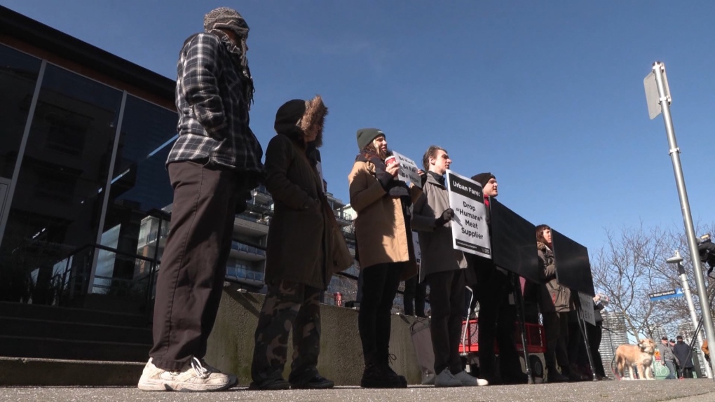 Protesters gather in Vancouver after secret video allegedly reveals actions of animal cruelty at B.C. slaughterhouse