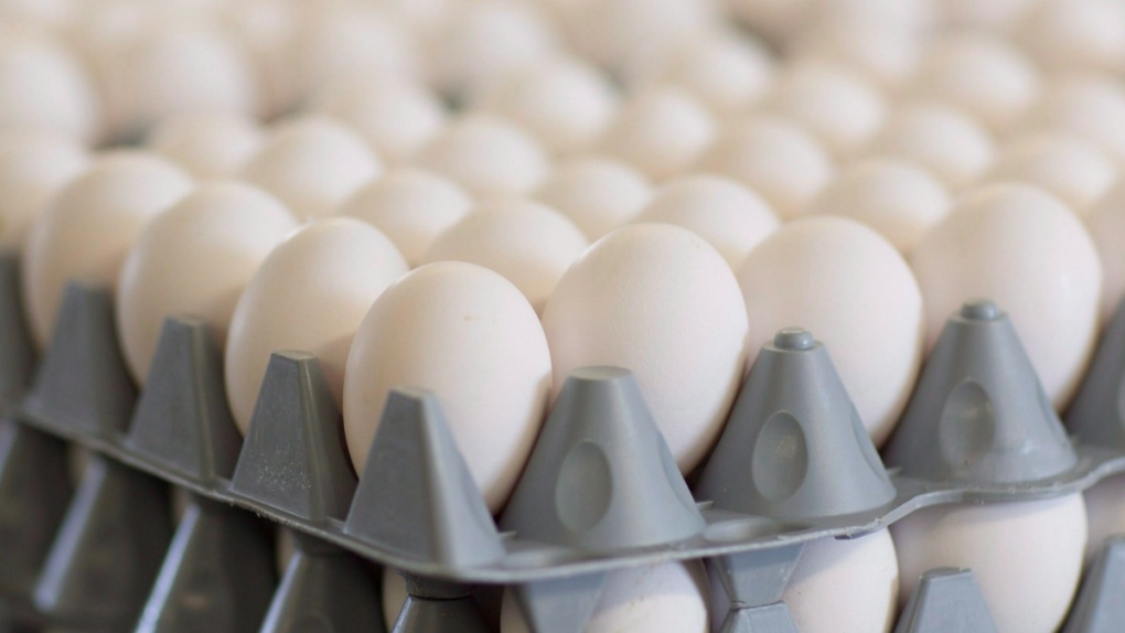 ‘Made-in-Canada system’ keeps egg supply stable. But is it also keeping prices high?