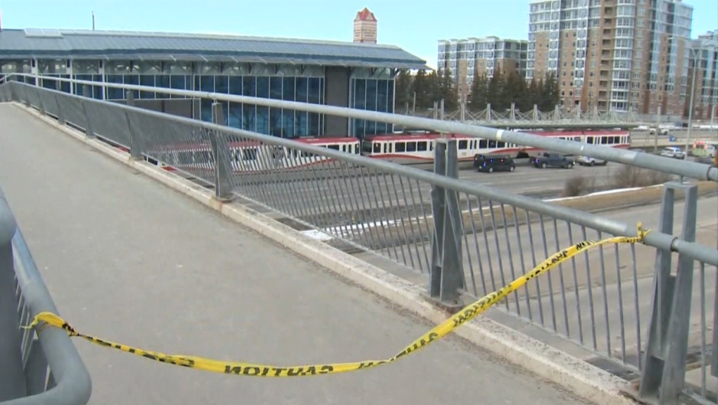 Pedestrian hit and killed by CTrain at Dalhousie Station fell: Calgary police