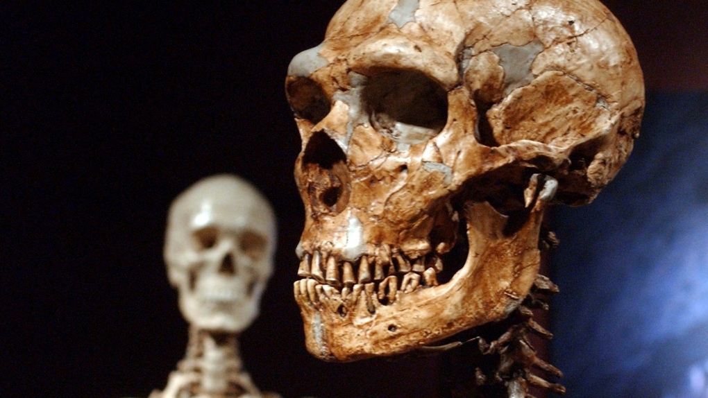 Genetics study lays bare Ice Age drama for humans in Europe