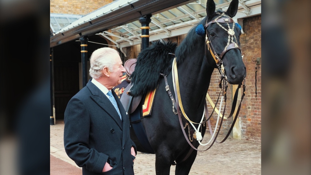 La RCMP presentó al rey Carlos III un nuevo caballo