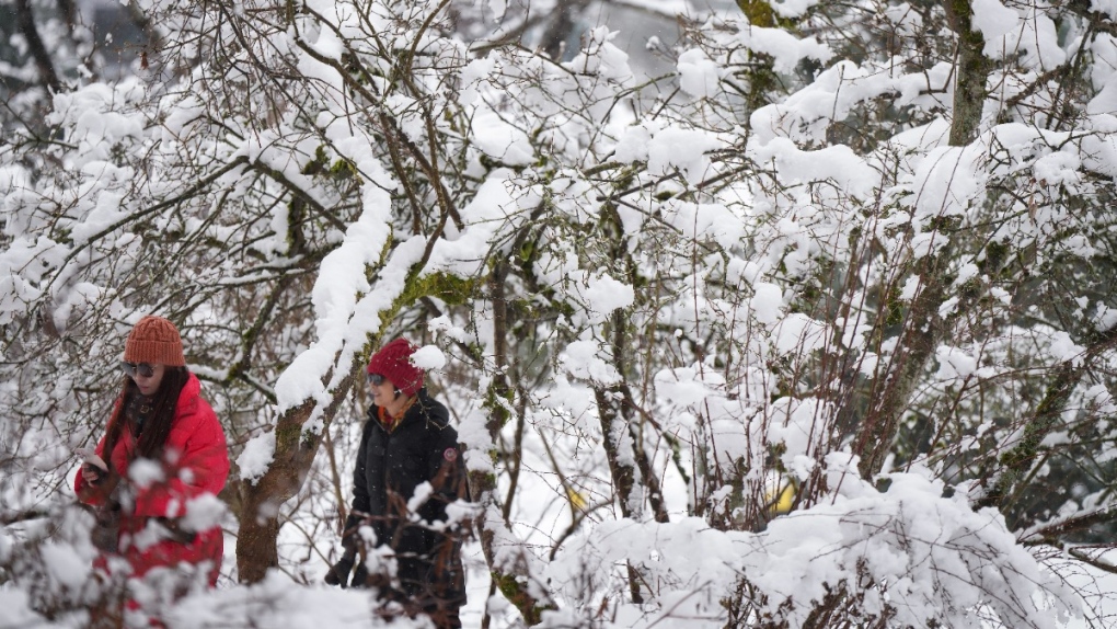 B.C., Maritimes under snowfall warnings as southern Ontario braces for winter storm