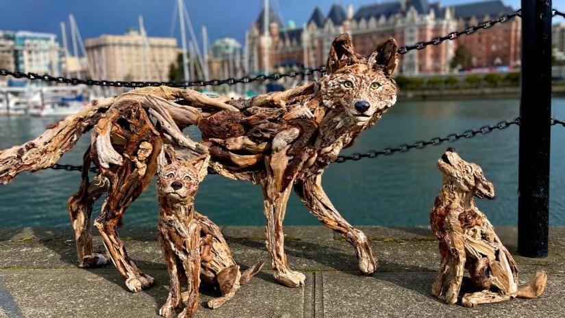 Life-sized driftwood sculpture exhibit to raise money for Vancouver Island wildlife centre