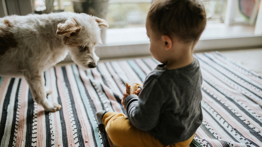 A new study found young children exposed to cats or indoor dogs had a lower risk of all food allergies compared with babies in pet-free homes. (Paulo Sousa/EyeEm/Getty Images)

