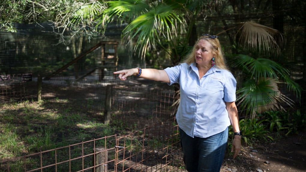 Carole Baskin walks the property at Big Cat Rescue in Tampa, Florida, on July 20, 2017. (Loren Elliott/Tampa Bay Times/Zuma Press)