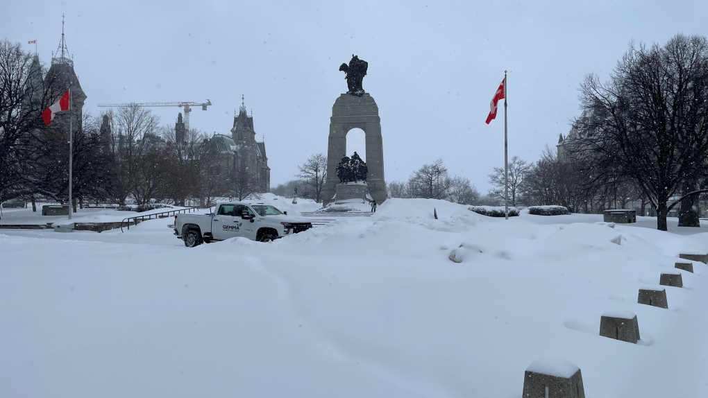 Winter storm hits Ottawa with up to 20 cm of snow