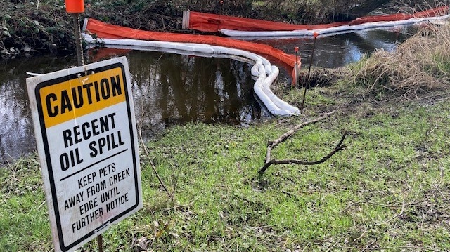 Colquitz River oil spill traced back to Saanich home