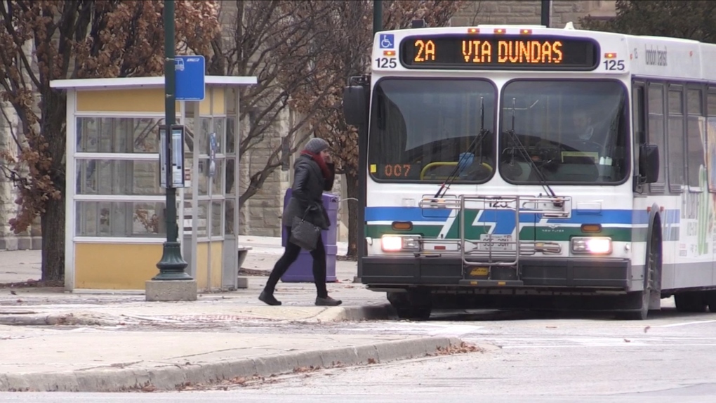 Rookie bus drivers responsible for most preventable LTC collisions