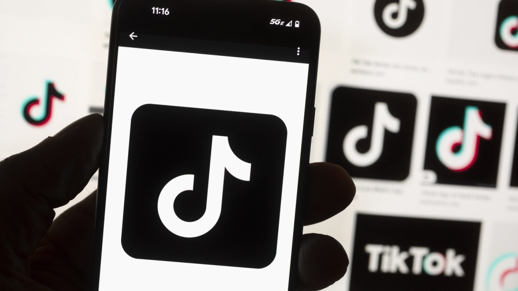 Territories join Ottawa, most provinces in banning TikTok on government devices