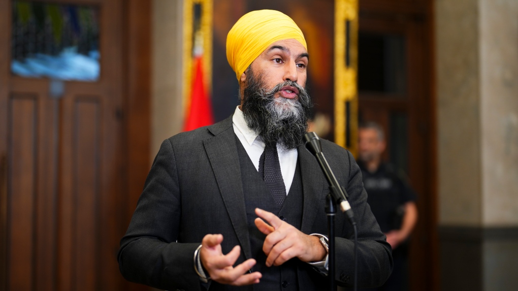 Singh hopes to tax companies where CEOs make ‘excessive profits,’ in bid to reduce inequality