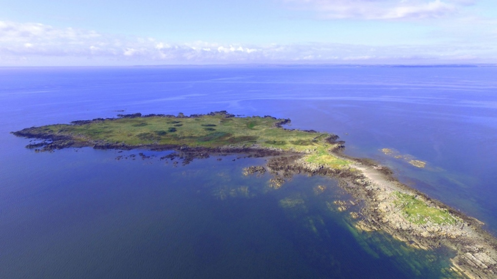 Un’isola scozzese disabitata è in vendita per $ 190.000