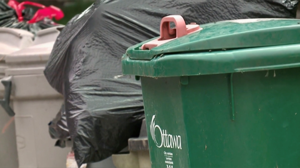 Councillor wants Ottawa to immediately explore new technologies for diverting waste from landfills