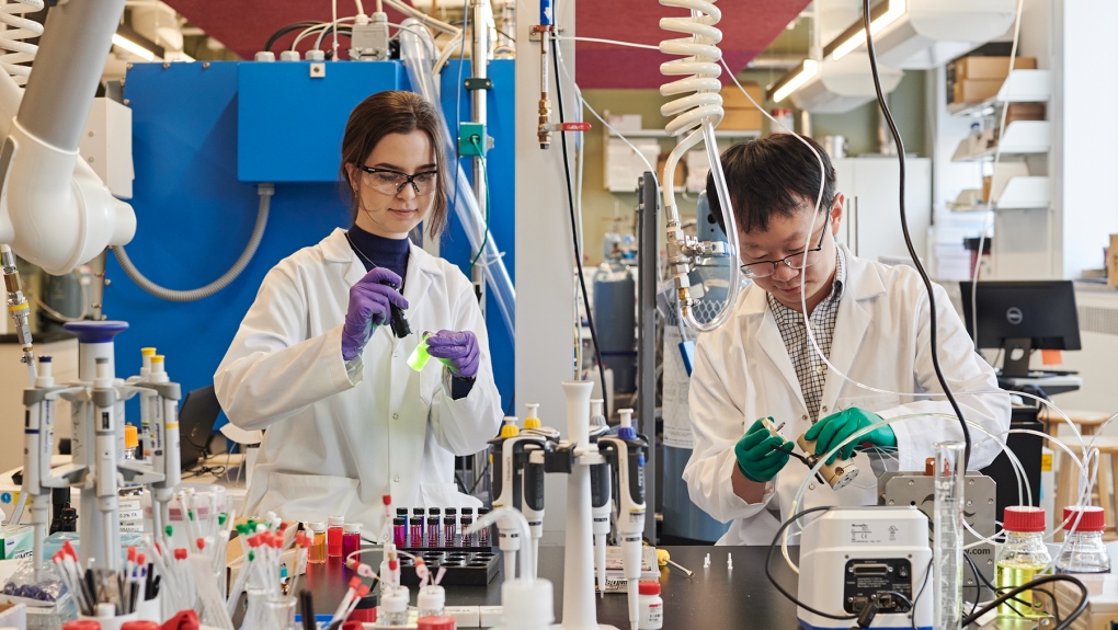 A scientist (on the left) shines a UV flashlight onto a fluorescent laser sample, while the scientist (on the right) assembles the parts of an aqueous redox flow battery. (James Morley © The Matter Lab / Acceleration Consortium, University of Toronto)
