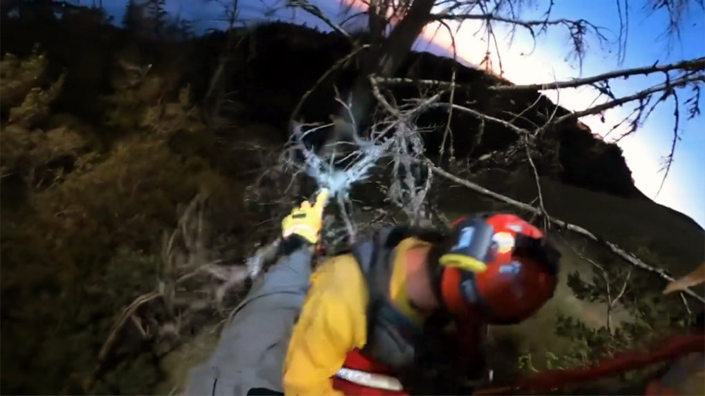 Driver rescued after plunging into a California ravine