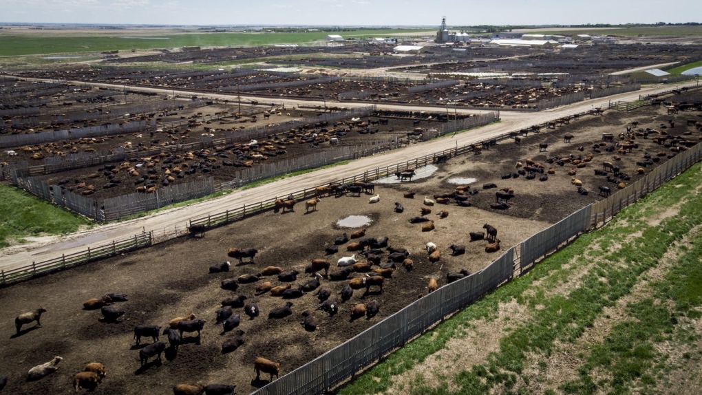 China’s ban on Canadian beef still in place year-and-a-half later; industry in dark