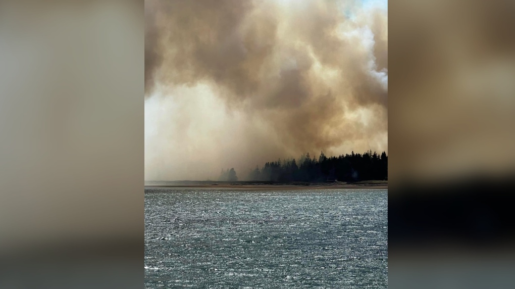 Wildfire in Shelburne County, N.S. now under control