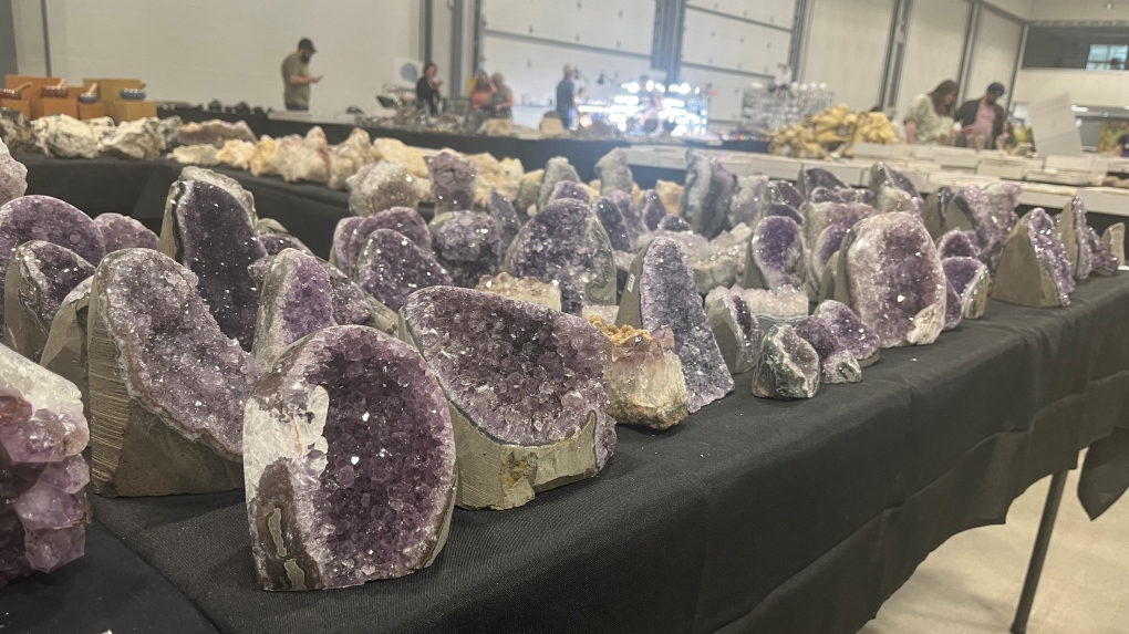 Regina mineral show proves to be a gem for collectors and newcomers alike