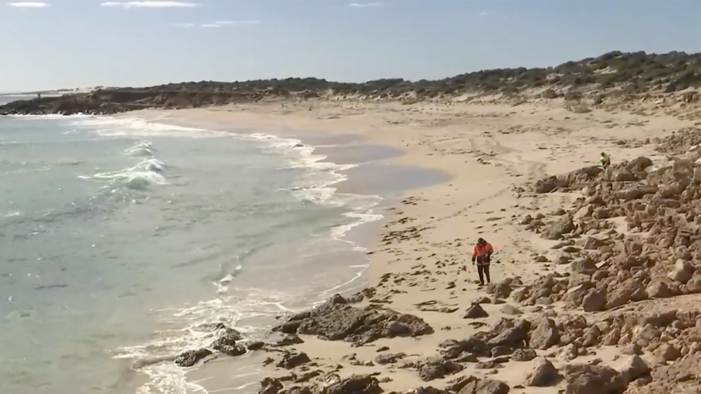 Ataque de tiburón en Australia: encuentran trozos de un traje de neopreno en una tabla de surf